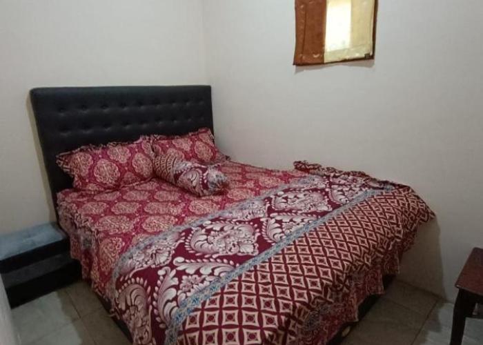 Oryza villa