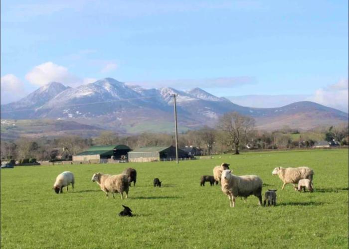 Mountain Views on the Ring of Kerry