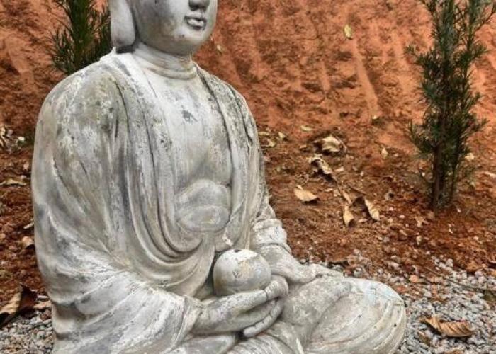 Sítio São Pedro de Alcântara com Spa Sauna