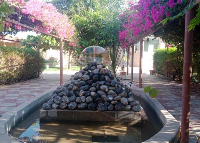 Al Bayan Palms