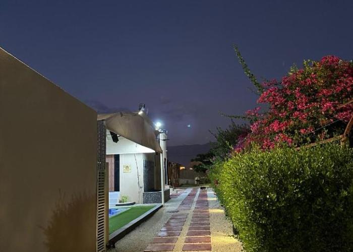 Al Bayan Palms