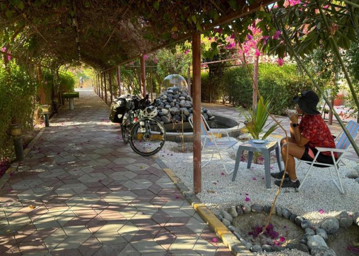 Al Bayan Palms