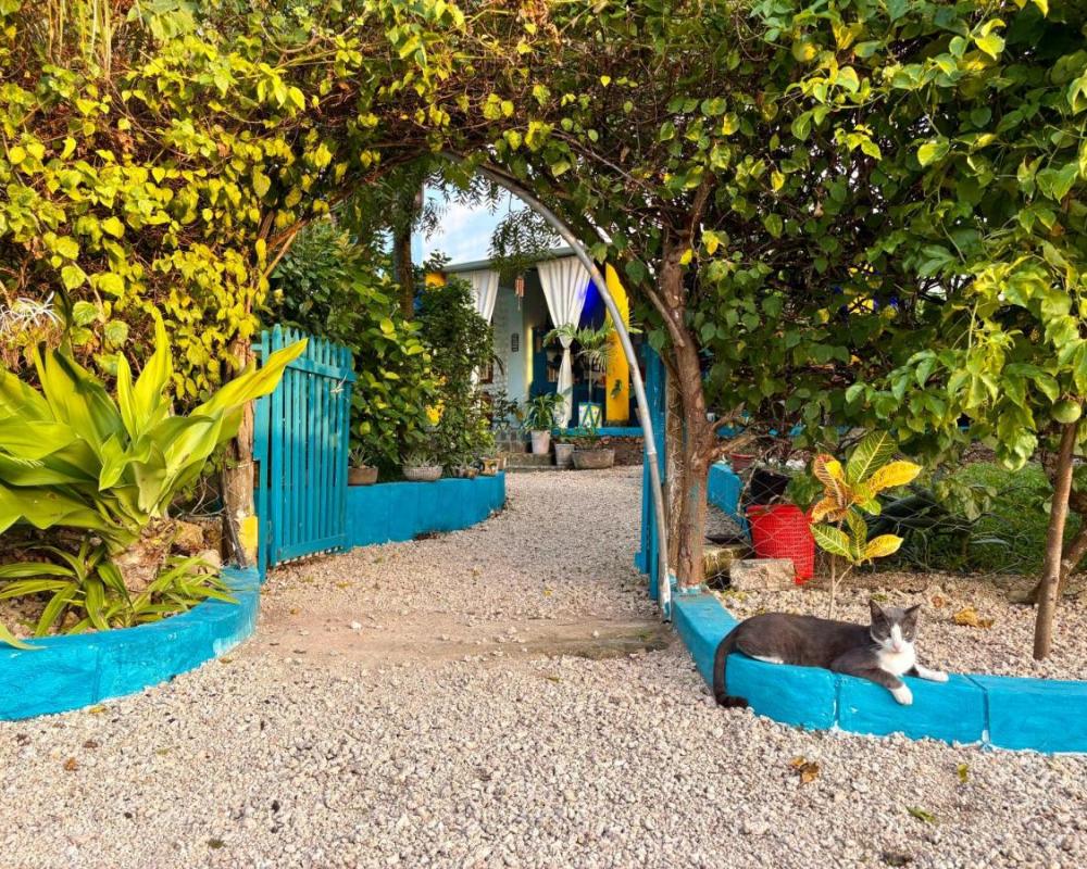 фото Hera Hostel Diani