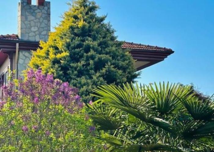 Enjoy the Riverside! Agva Secret Yard