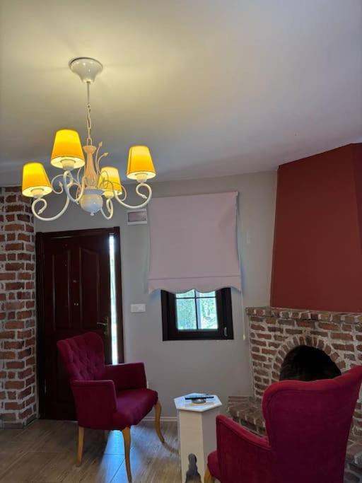 Enjoy the Riverside! Agva Secret Yard