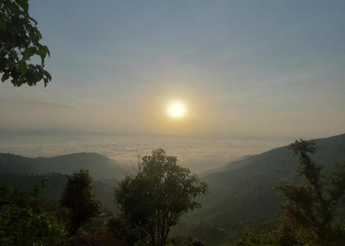 sanjivani buti organic krisi farm & resort