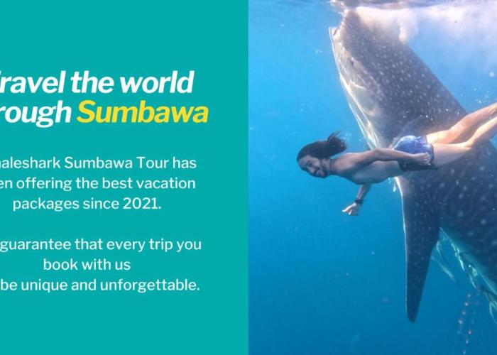 Whale shark Sumbawa Tour