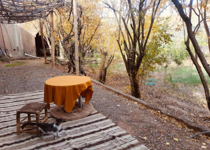 Hostel Ryad-IGRANE