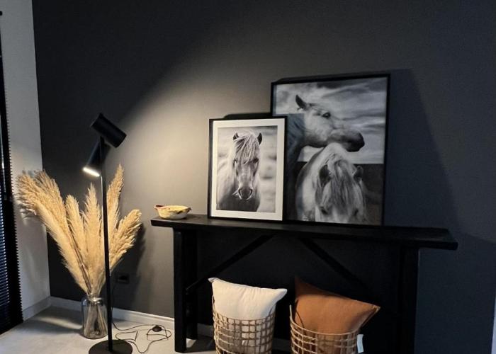 RentUp - Diseño exclusivo espacios unicos Tessalia Casa Polo