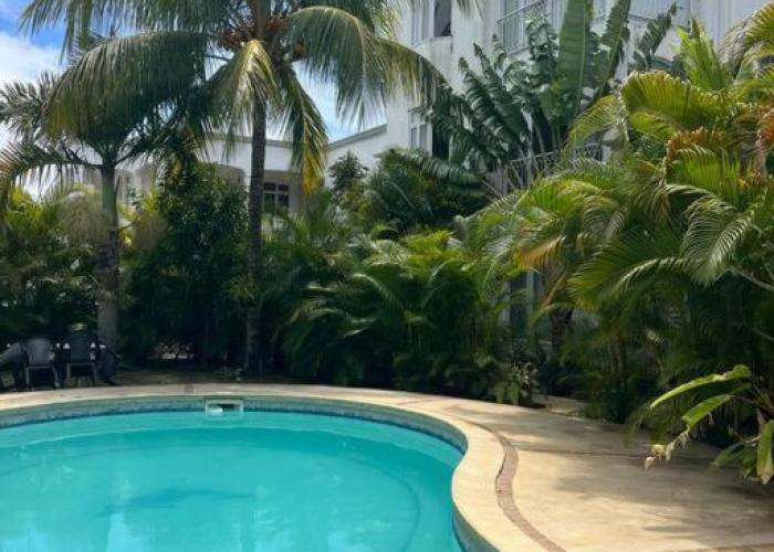 Paradise Palms
