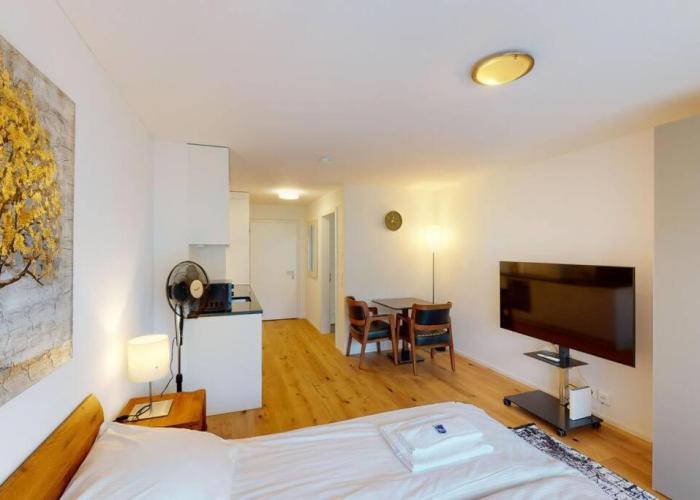 Amazing studio in city centre - Sun8