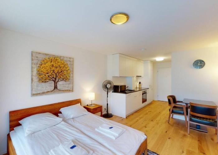 Amazing studio in city centre - Sun8