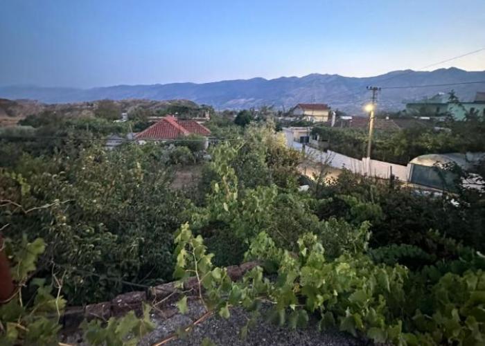 Aldi's house