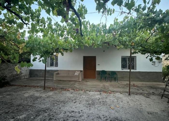 Aldi's house