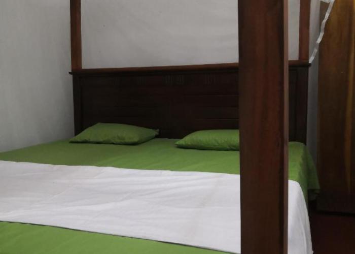 Green Villa