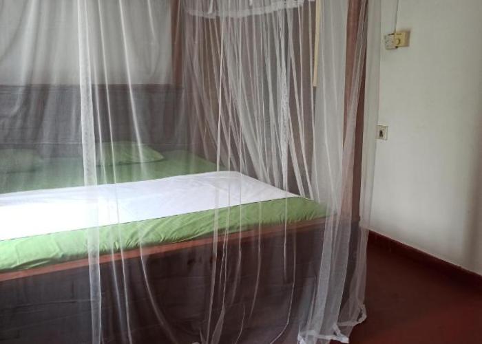 Green Villa