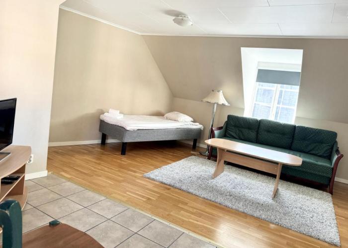 Spacious and cenral apartment