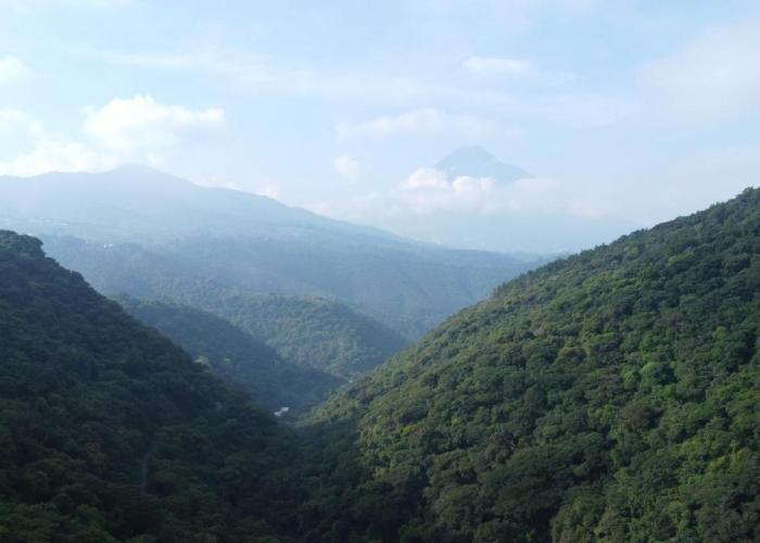 Finca San Mateo - Private Luxury Coffee Estate in Antigua Guatemala