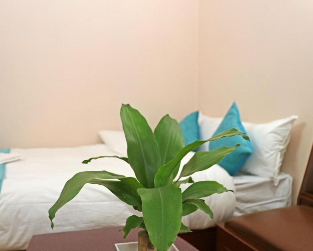 фото Hotel Resunga Arjun