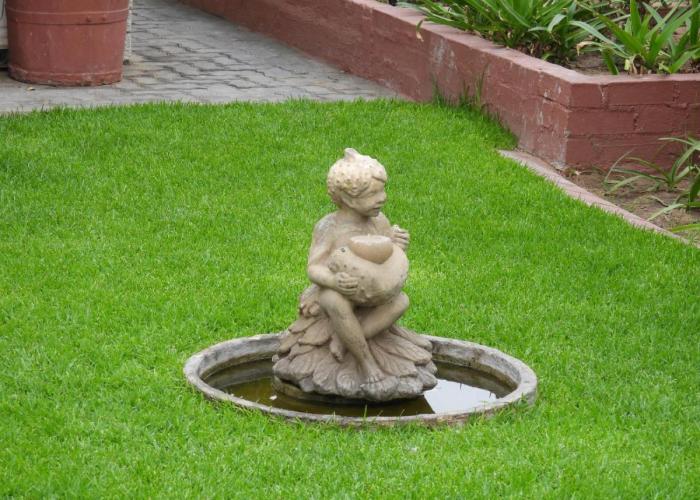 The Shifting Whispering Sands Guesthouse