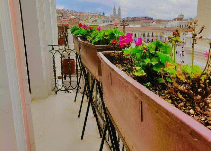 Hotel Sucre