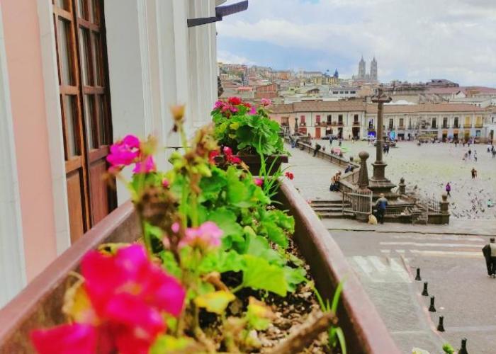 Hotel Sucre