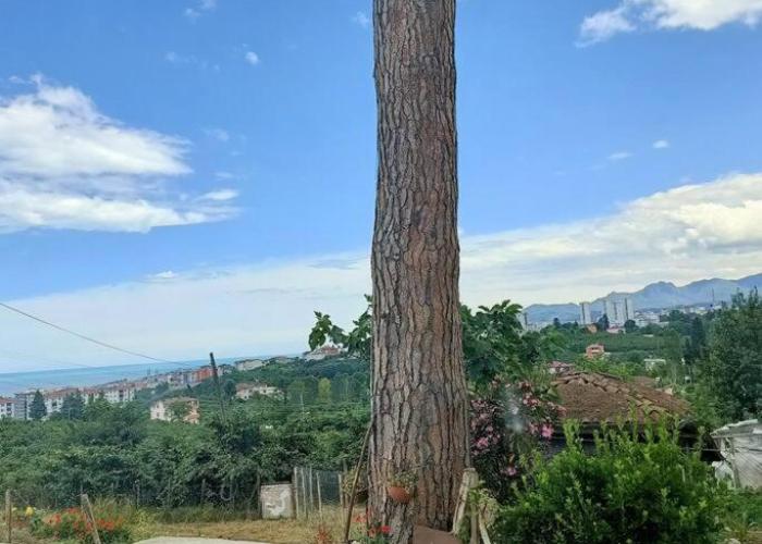 Nizzy House VILLA TAŞ EV