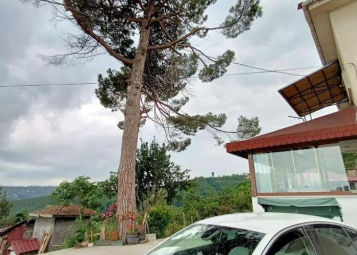 Nizzy House VILLA TAŞ EV