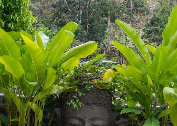 Serendipity Holistic Resort Spa