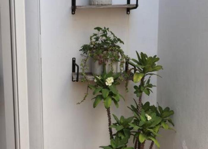 Casa Primavera