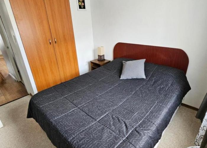 Casa Grey
