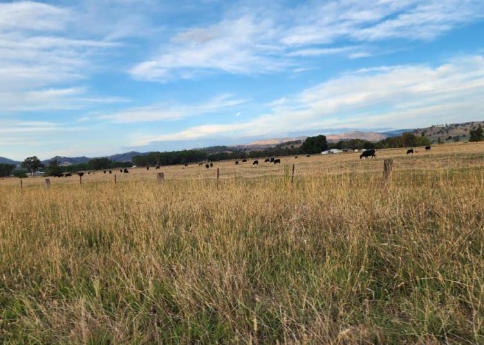 Bahwidgee Lodge - Riverside Retreat