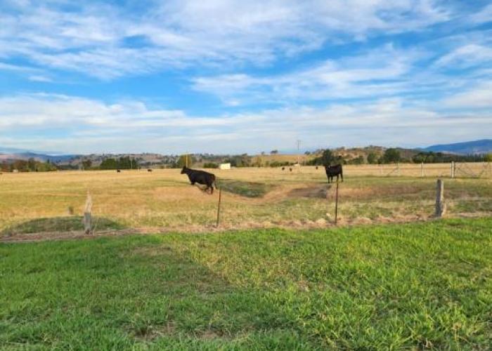 Bahwidgee Lodge - Riverside Retreat