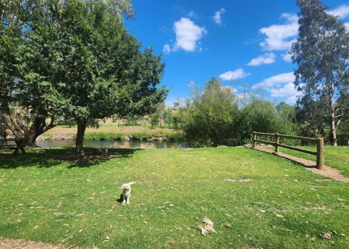 Bahwidgee Lodge - Riverside Retreat