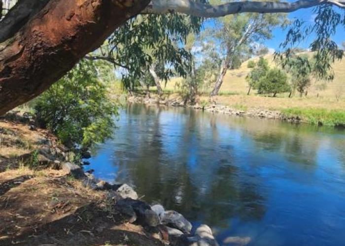 Bahwidgee Lodge - Riverside Retreat