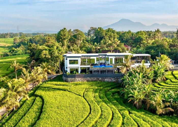 Tippo's Bali Villas