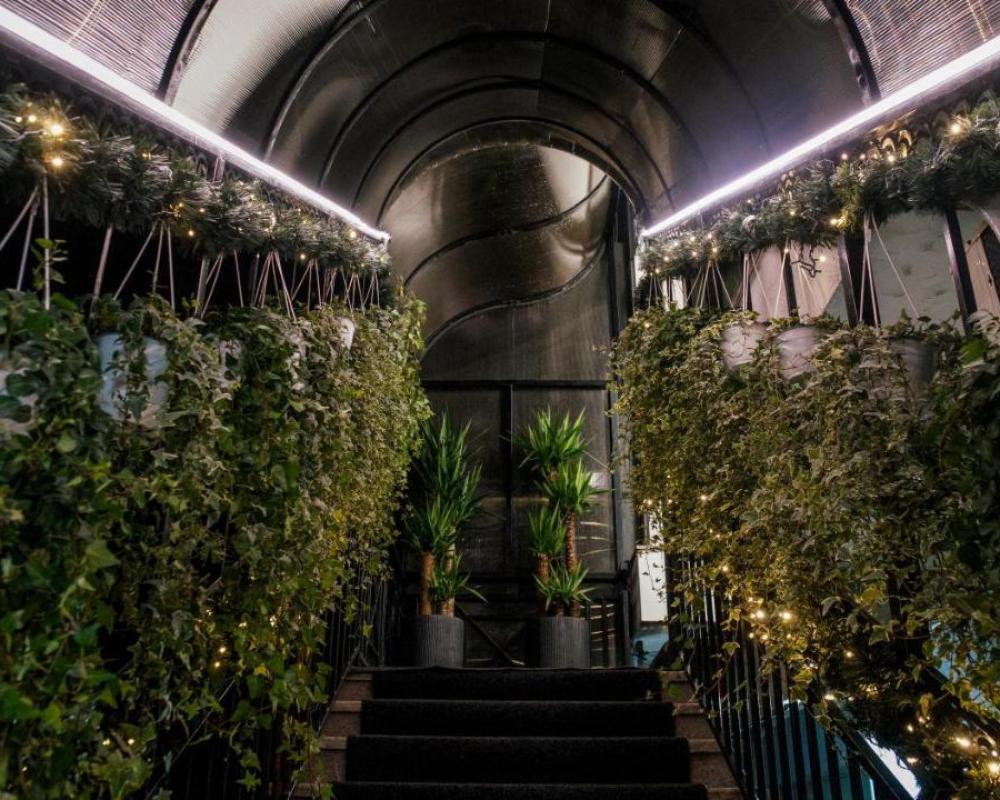 фото Hotel Dirista