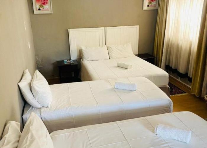 Genius Guesthouse & Tours