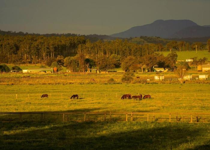 Redbank Estate - Luxury in Scone