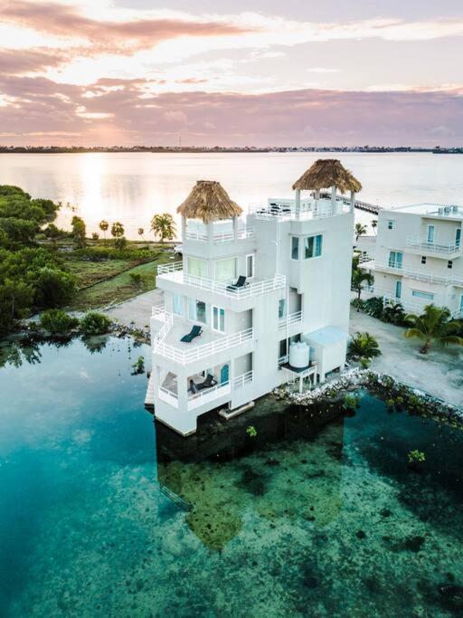 фото Villa White