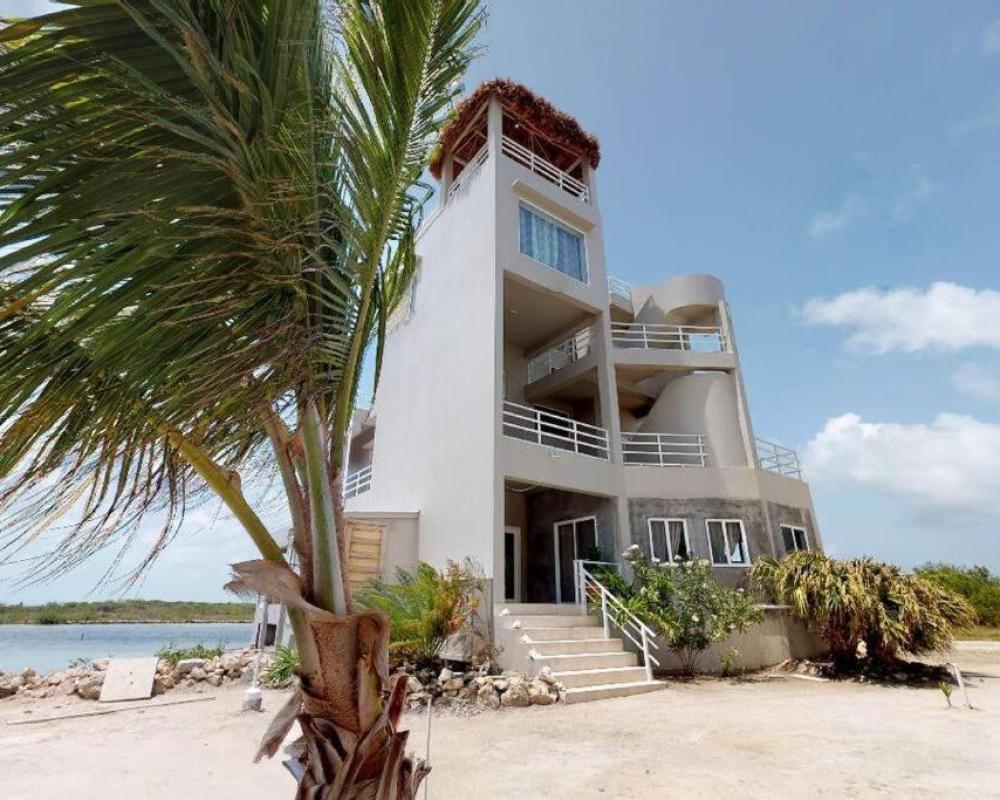 фото Villa White