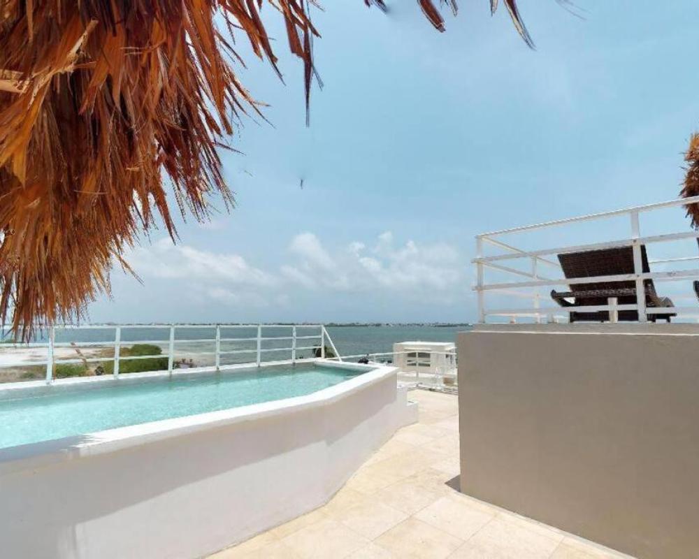 фото Villa White