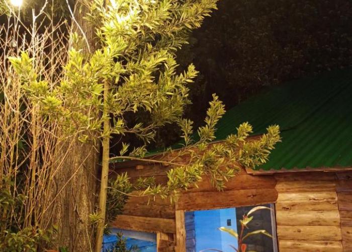 Chalet el Pinar