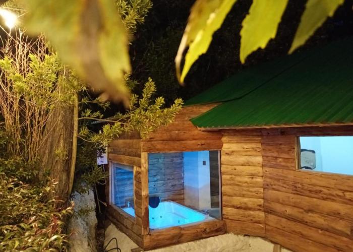 Chalet el Pinar