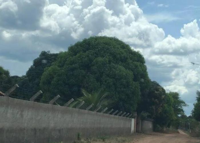 Sítio zona rural de Teresina