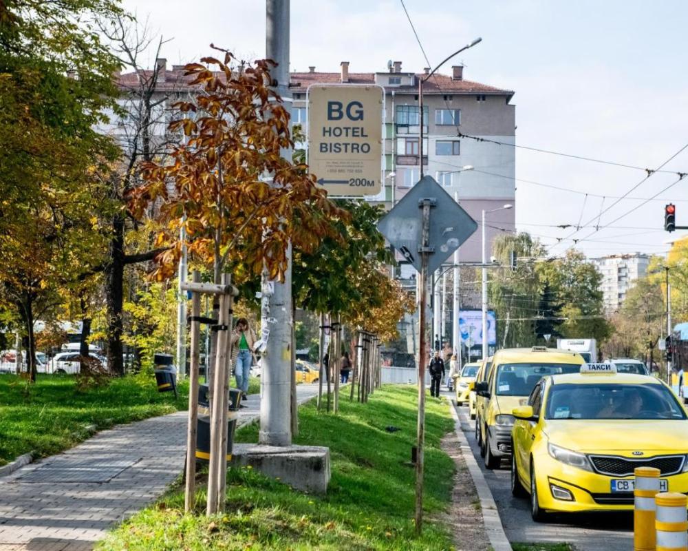 фото BG Hotel