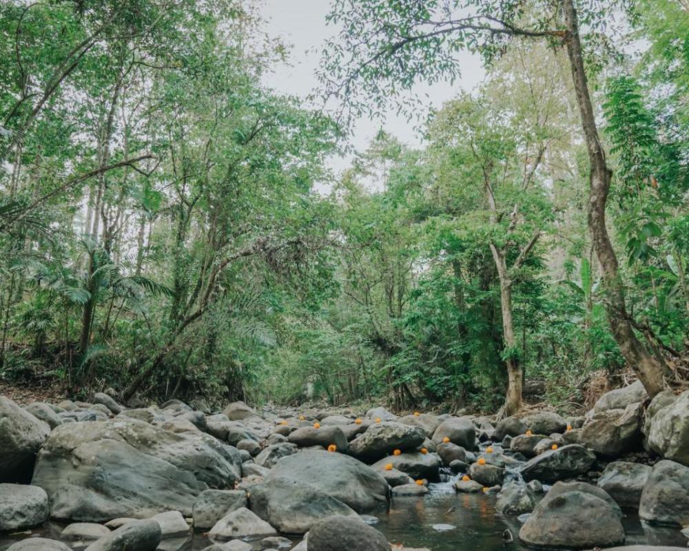 фото Asep Gumi