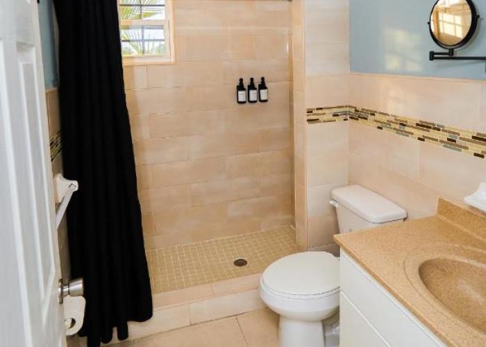 Studio Suite for Creators