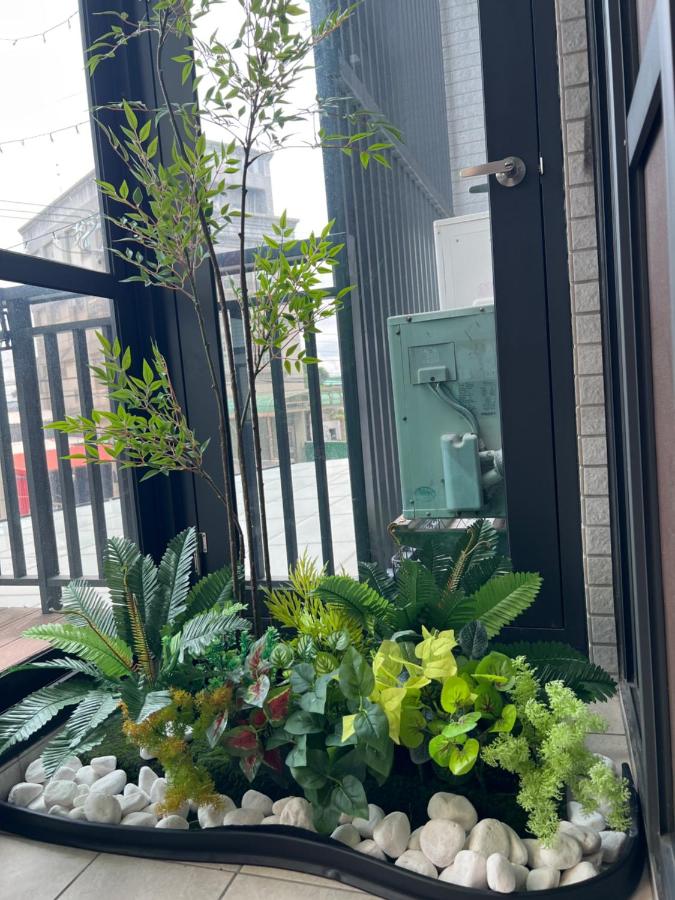 фото 鹿港春天Spring B&B