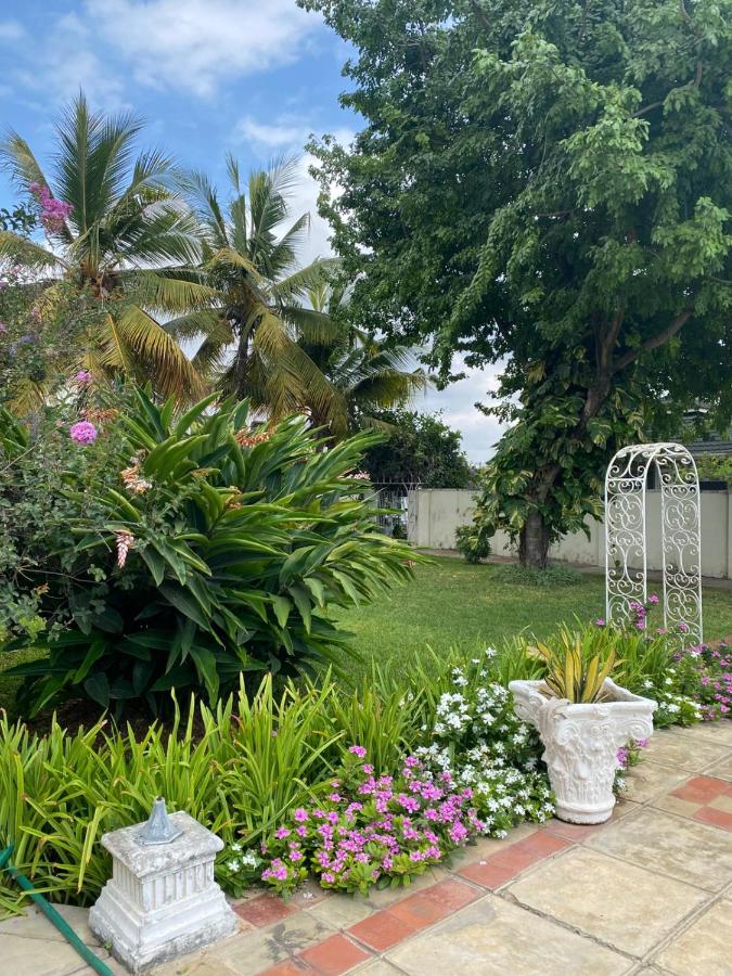фото Zing gardens E06